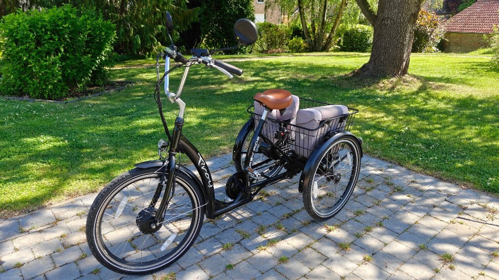 Tricycle à assistance électrique Easy Ride Proxy, Vélos & Vélomoteurs, Vélos | Tricycles, Utilisé, Frein à tambour, Enlèvement