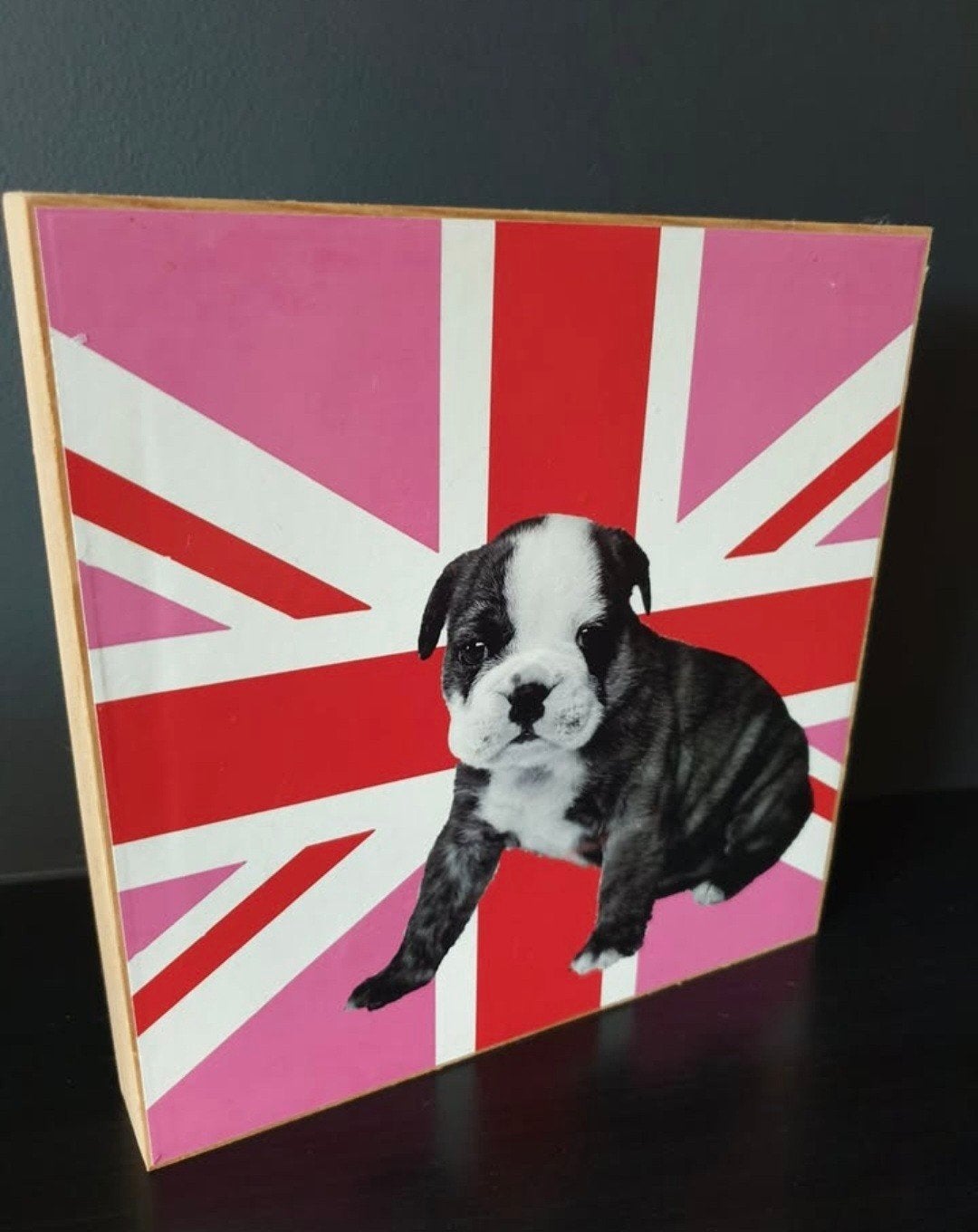 Roze frame voor Engelse bulldog, Dieren en Toebehoren, Ophalen of Verzenden, Zo goed als nieuw