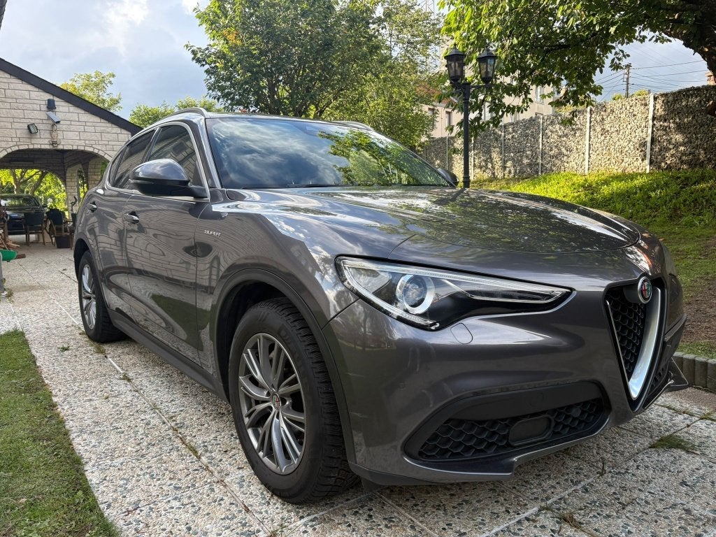 Alfa Romeo Stelvio, Automaat, 4 cilinders, Leder, Bedrijf