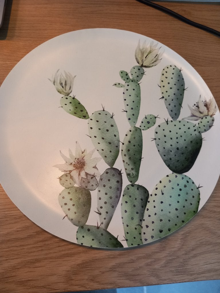 Decoratie cactus schaal, Ophalen, Schaal, Rond, Zo goed als nieuw