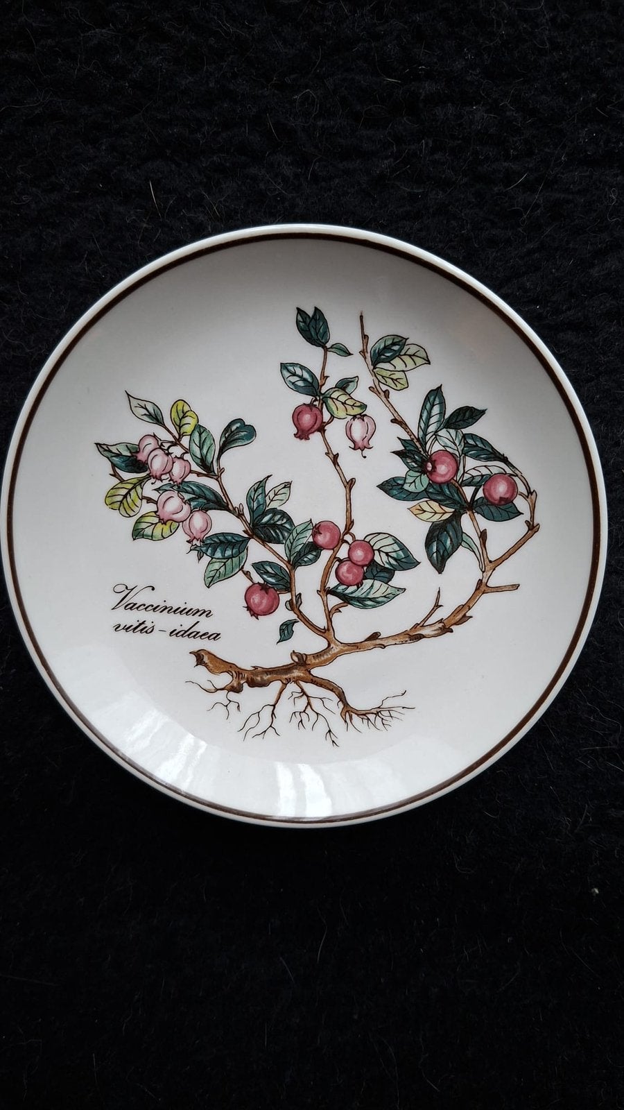 Villeroy & Boch klein bordje, Ophalen of Verzenden