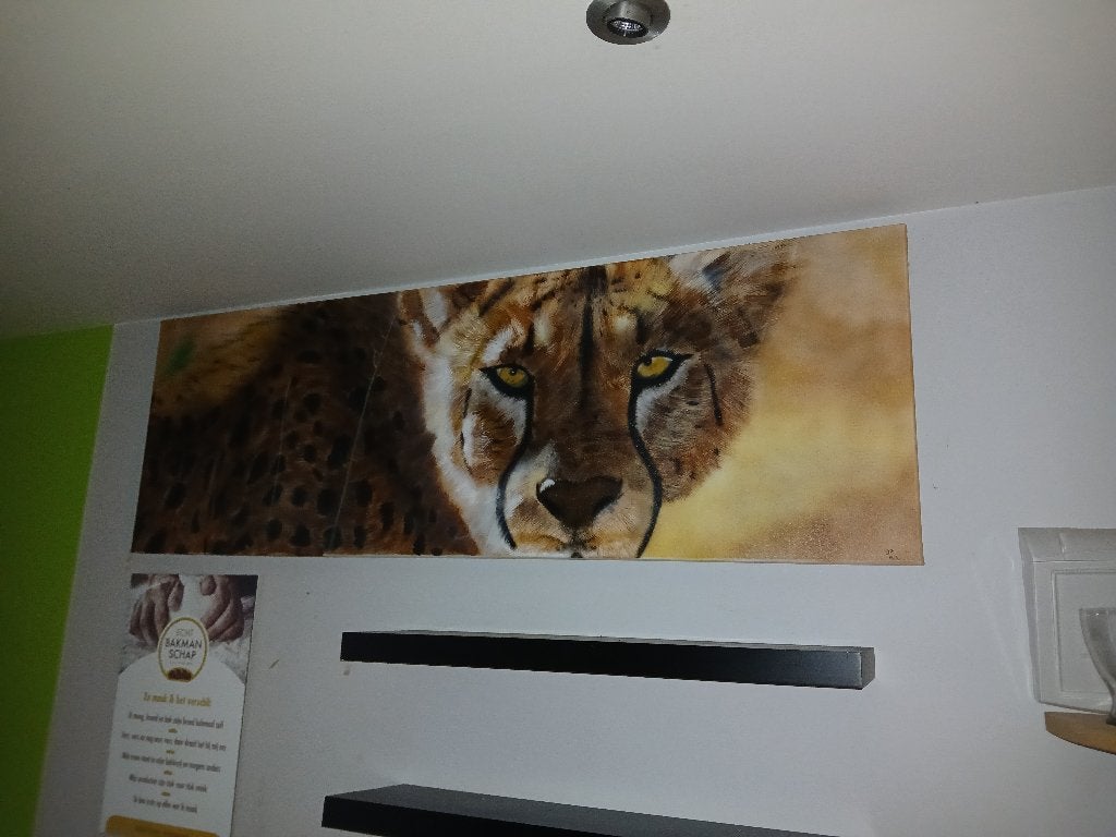Canvas met cheetah, Ophalen, Zo goed als nieuw