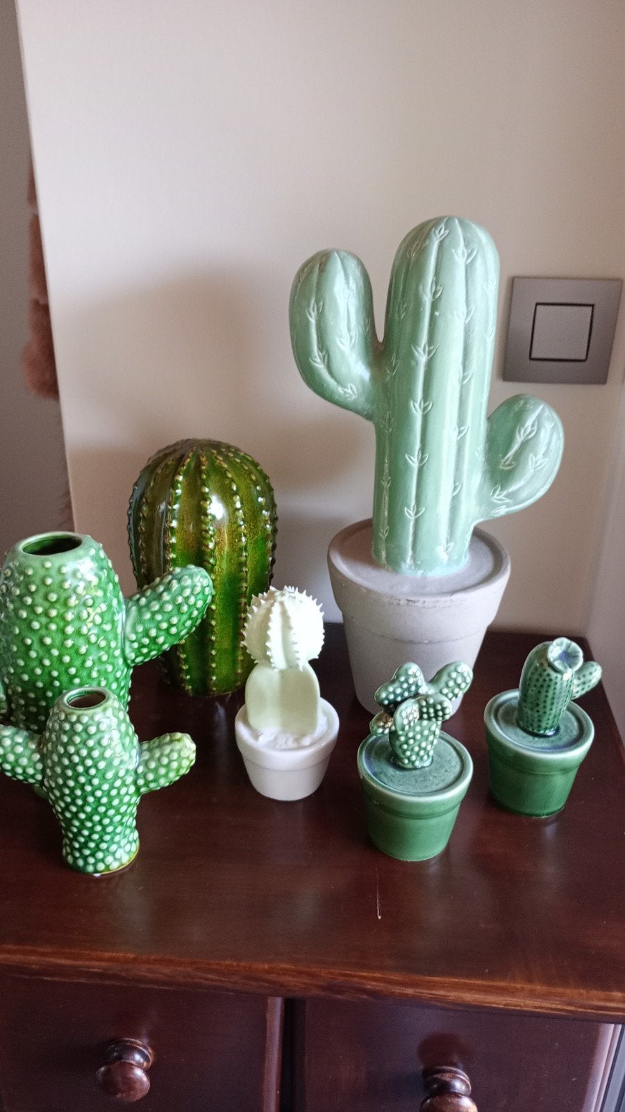 cactussen steen - 7 stuks voor 25€, Ophalen
