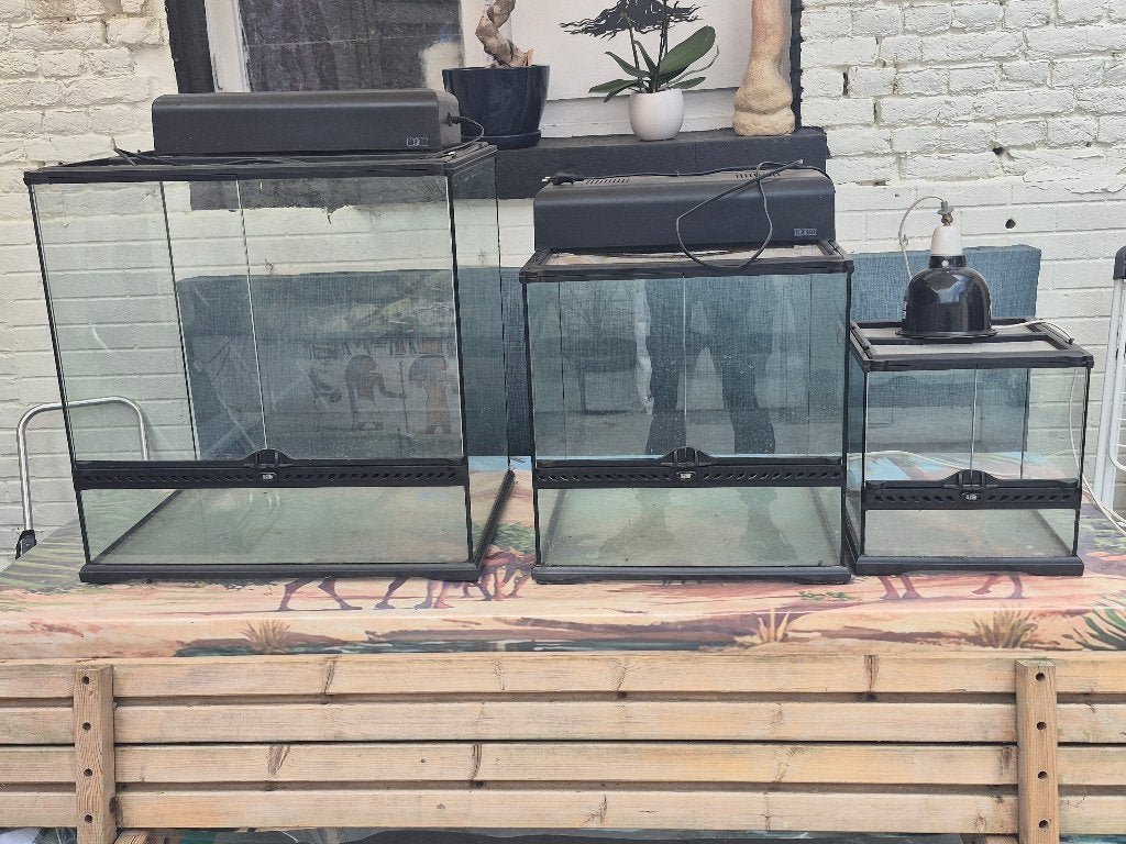 lot de terrarium  complet, Ophalen, Zo goed als nieuw