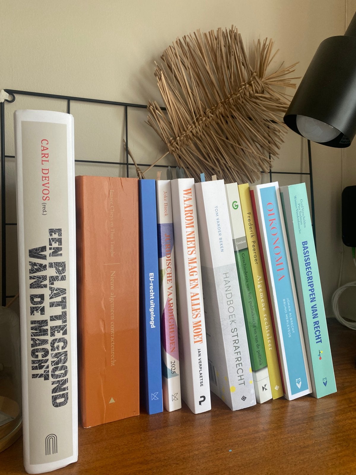 Ugent rechten, alle boeken die je nodig hebt, Livres, Livres d'étude & Cours, Enlèvement ou Envoi, Alpha, Comme neuf, Enseignement supérieur