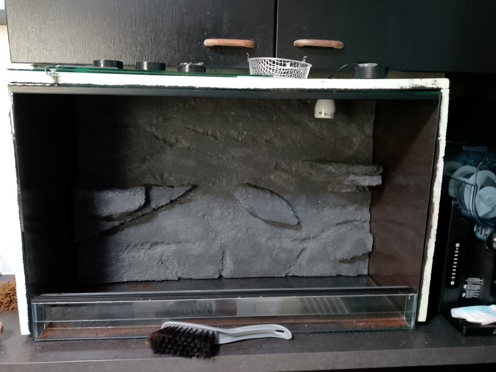 Terrarium, Enlèvement