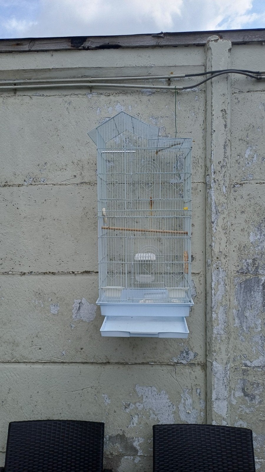 cage oiseaux comme neuf avec accessoires, Enlèvement