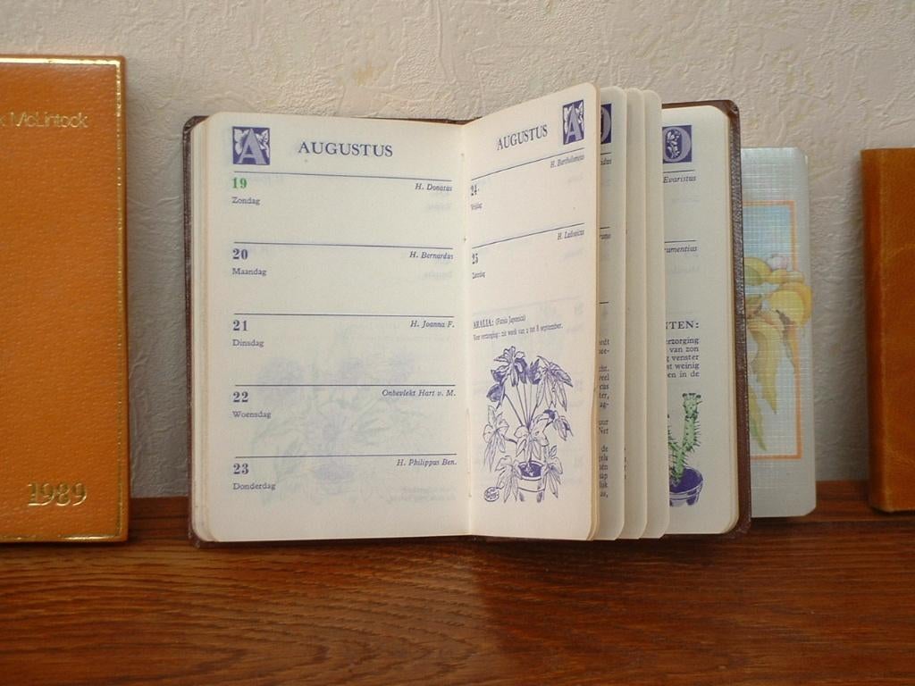 oude agendaatjes (1 van 1962), Verzamelen, Retro, Overige typen, Ophalen of Verzenden