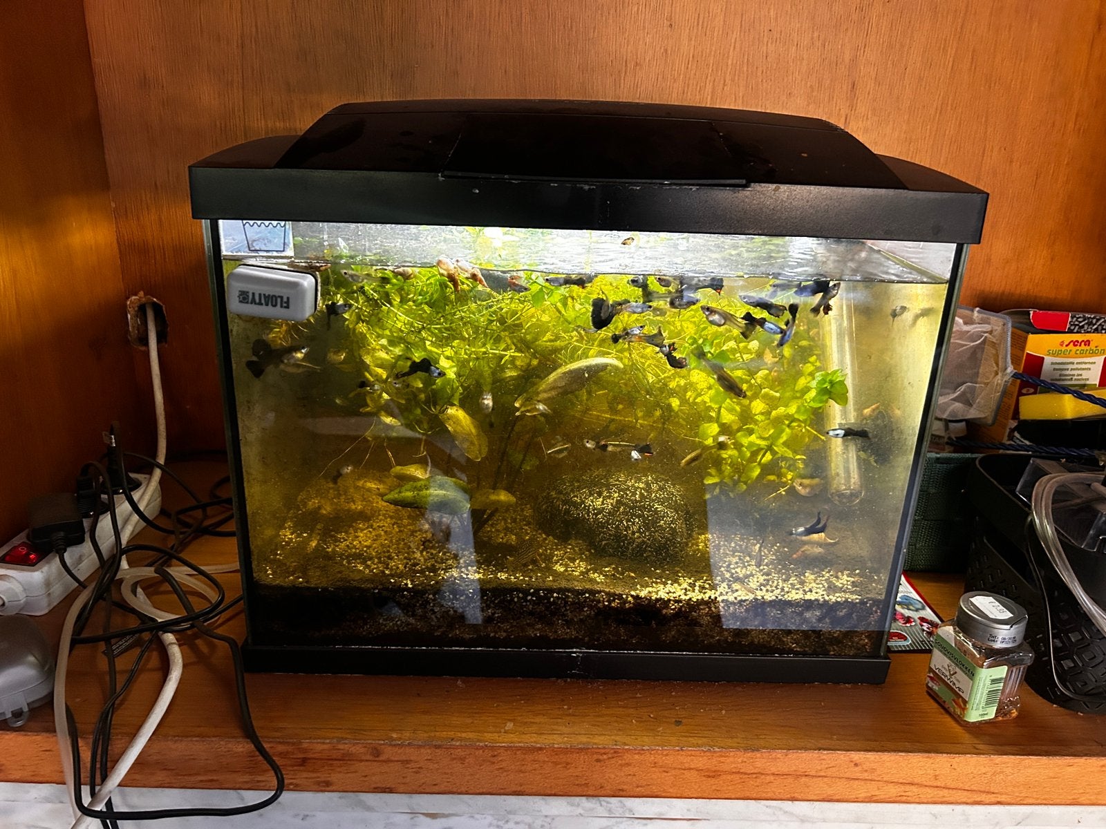 Aquarium met vissen, kuis en onderhoud producten/spullen, Dieren en Toebehoren, Ophalen, Gebruikt, Gevuld zoetwateraquarium, Superfish