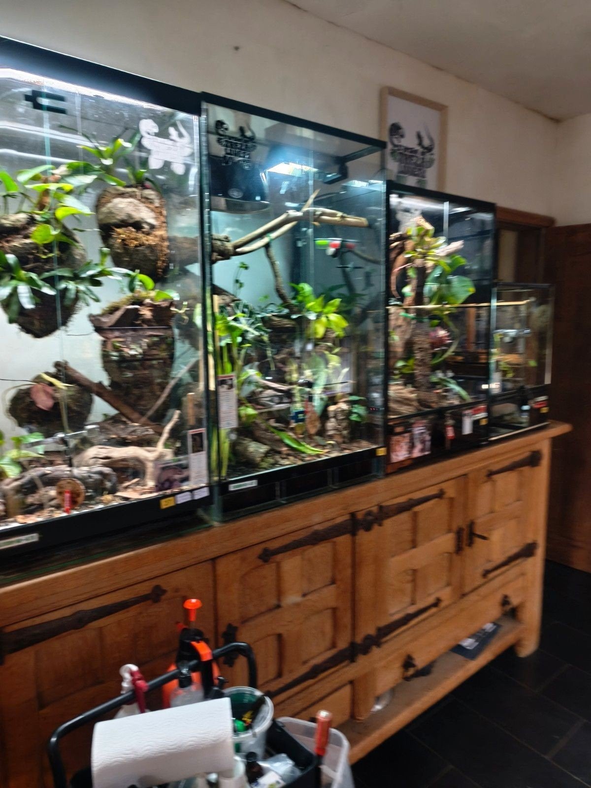 ExoTerra 60x45x90 volledig afgewerkt Succesvolle creaties!, Ophalen, Zo goed als nieuw, Terrarium of Paludarium