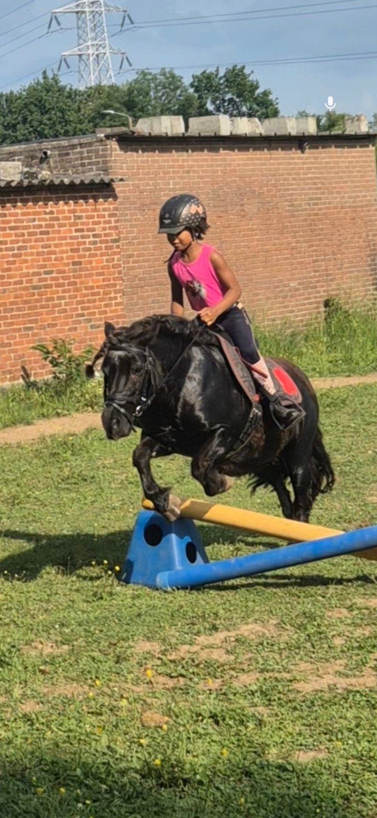 Zadelmak maken van pony's, Dieren en Toebehoren, Pony's, Zadelmak