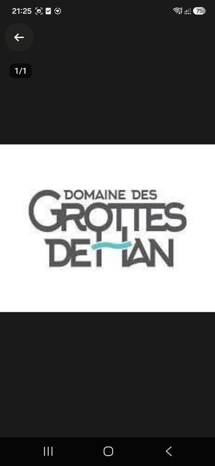 3 tickets voor Grotten van Han + Wildpark, Trois personnes ou plus