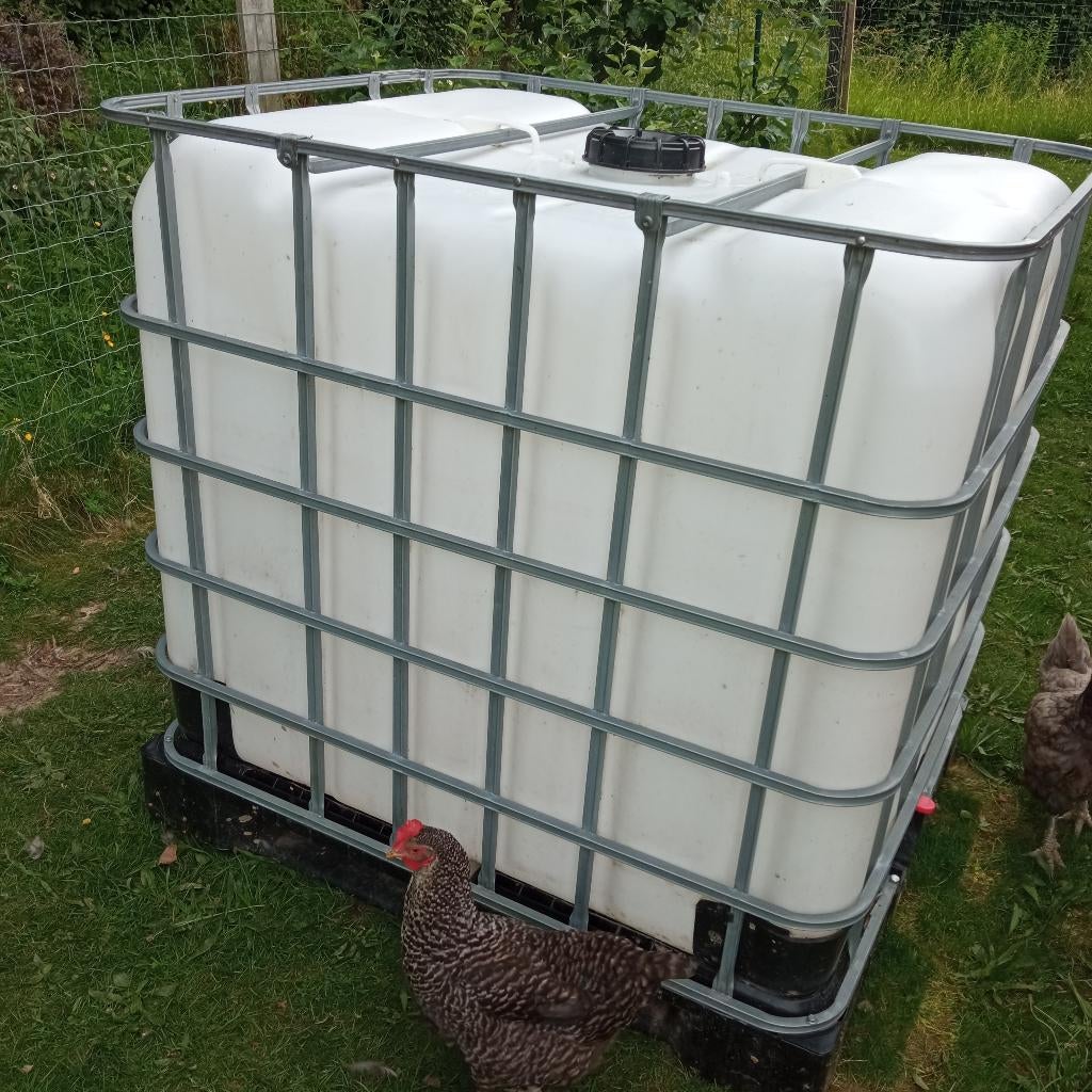 citerne d'eau de pluie de 1.000 litres, 150 litres ou plus, Synthétique, Enlèvement, Utilisé