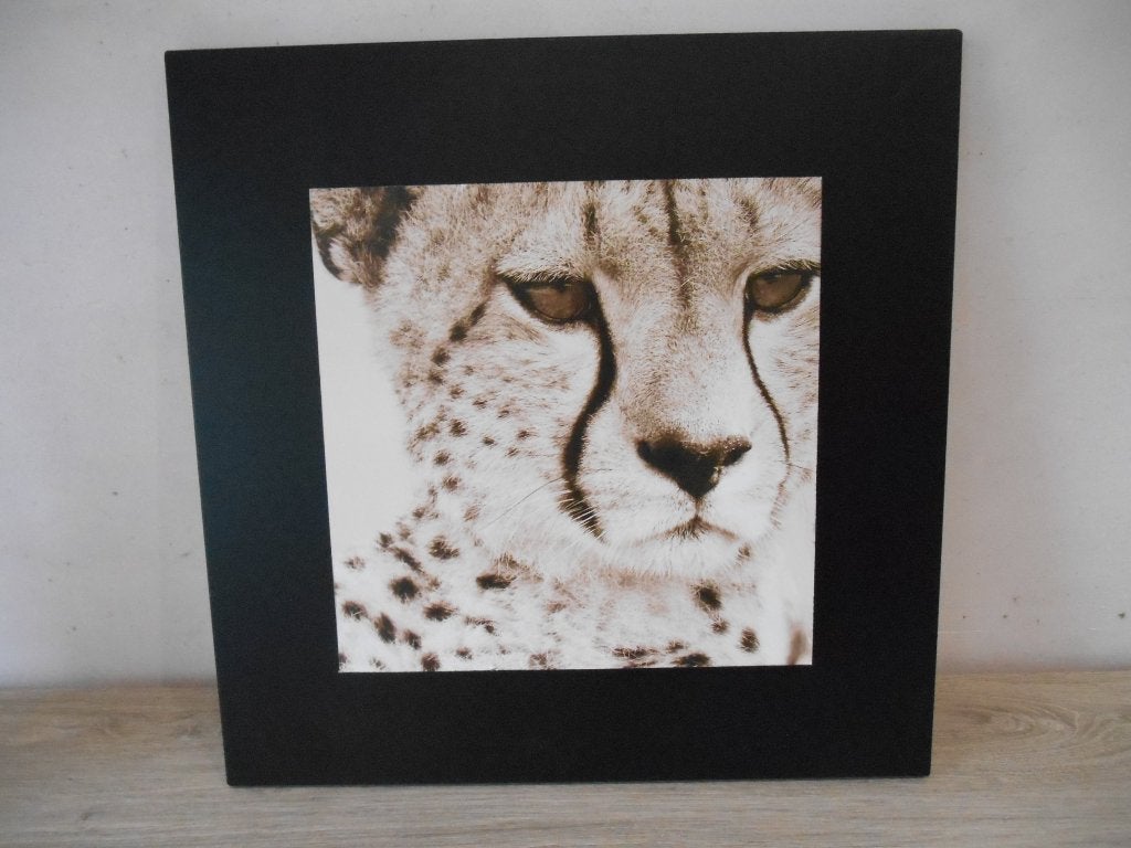 schilderij dier, Antiquités & Art, Art | Peinture | Moderne, Enlèvement ou Envoi, Animaux