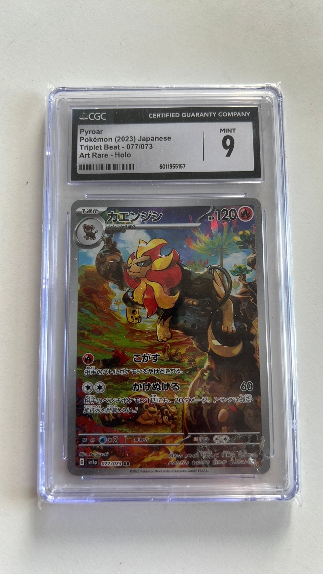 Pokemon - Pyroar (2023) Japanese, Hobby & Loisirs créatifs, Enlèvement, Comme neuf