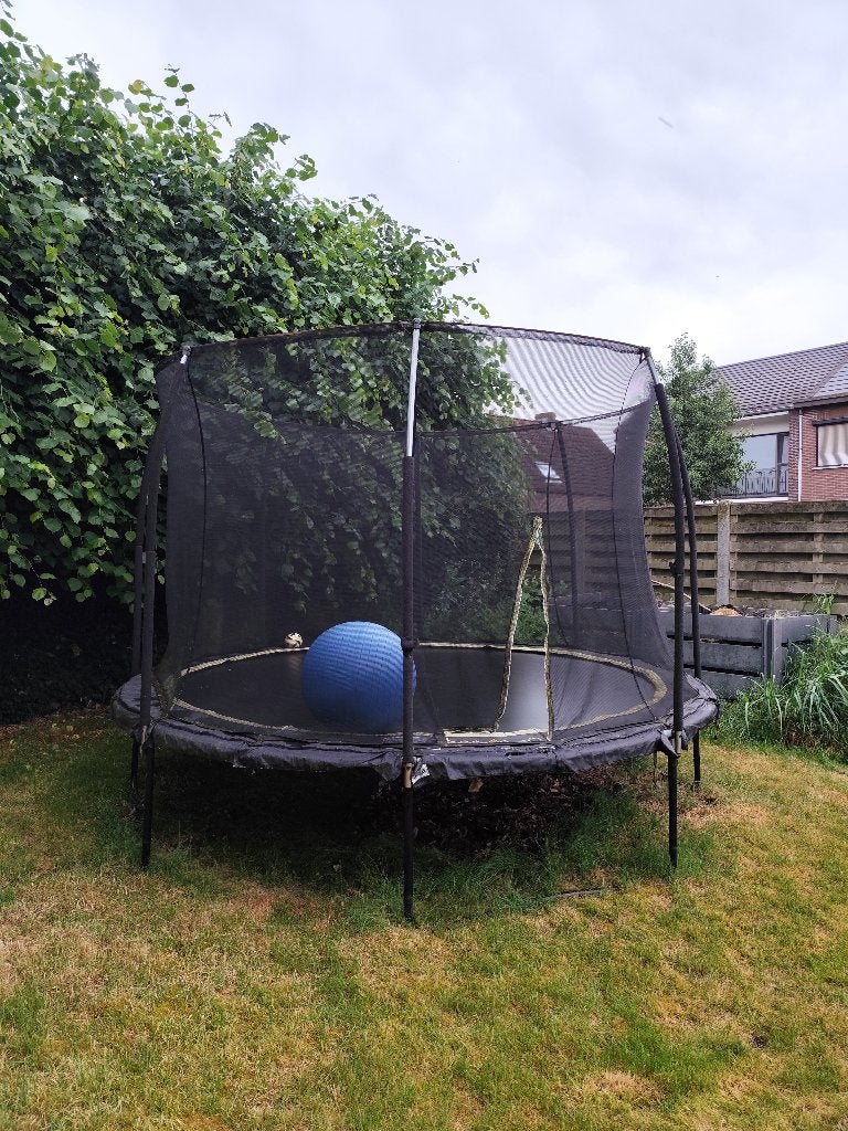 Trampoline Salta 305 cm, Kinderen en Baby's, Speelgoed | Buiten | Trampolines, Gebruikt, Ophalen