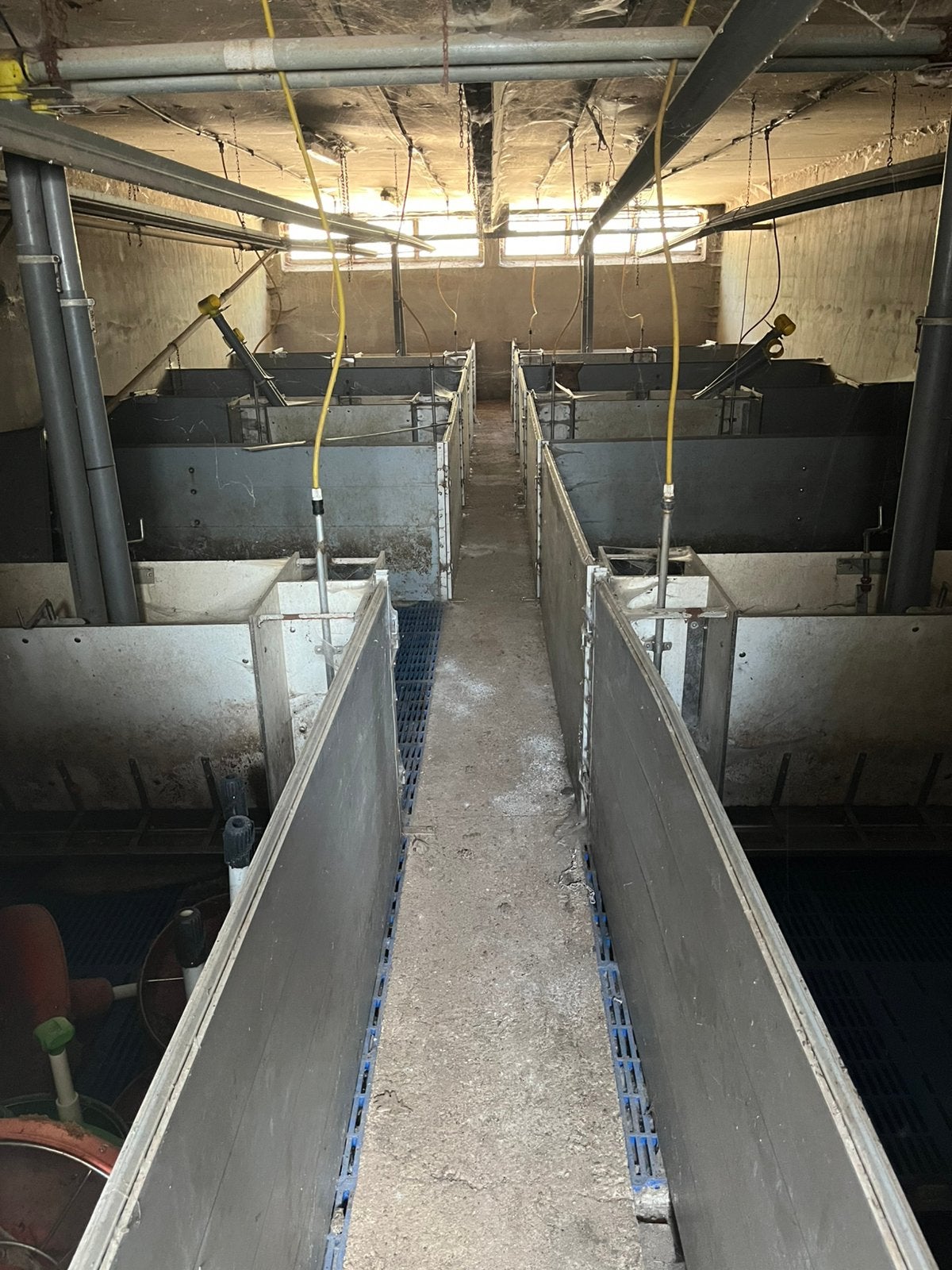 Stal inrichting biggen 5 compartimenten