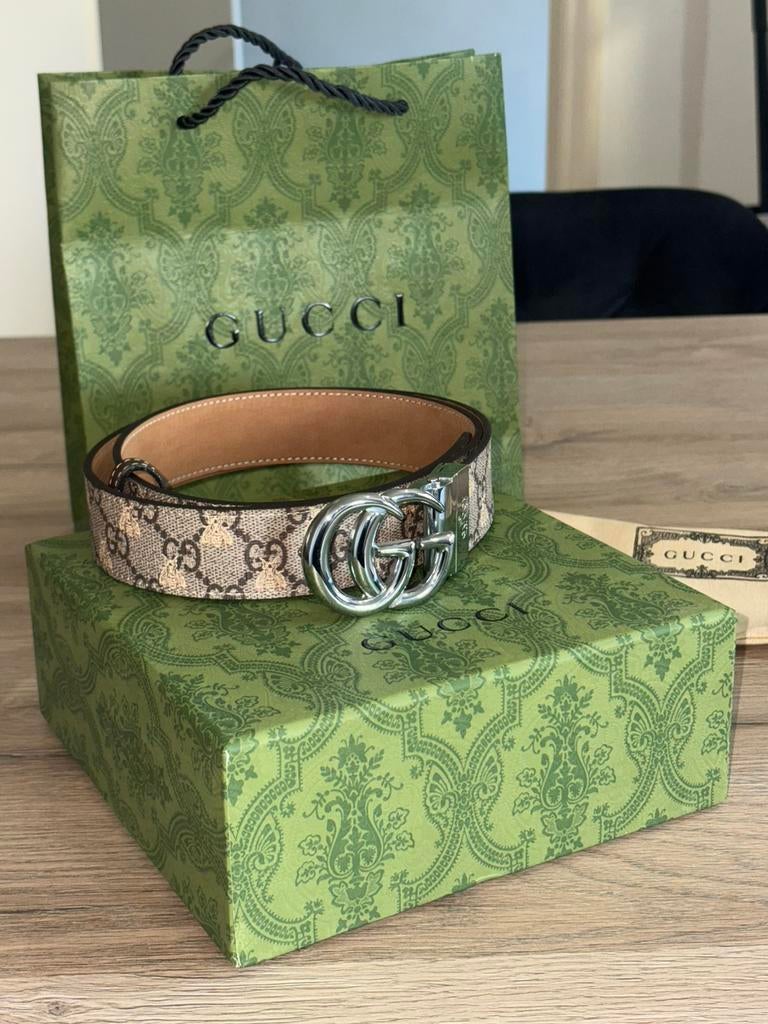 Ceinture gucci, Enlèvement ou Envoi, Neuf, Autres couleurs, Ceinture
