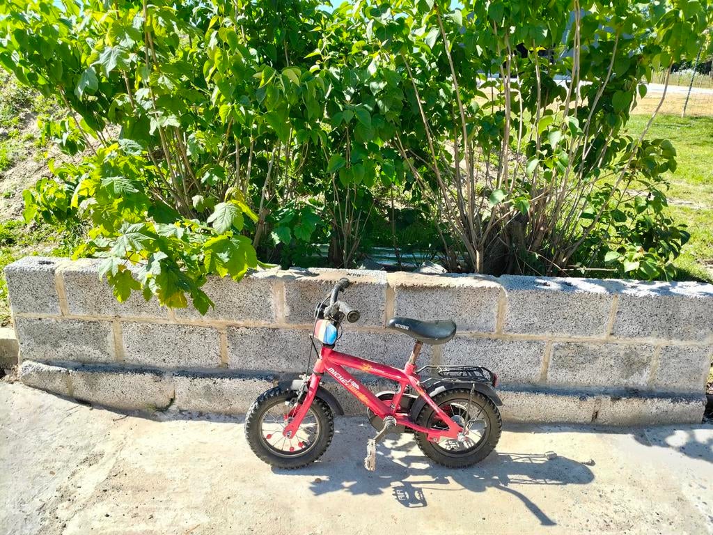 Fiets kind rood, Fietsen en Brommers, Fietsen | Kinderfietsjes, Ophalen