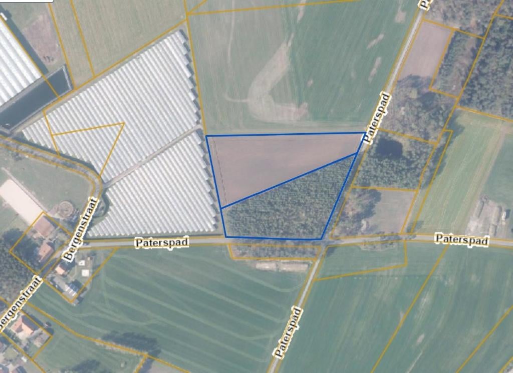 Landbouwgrond te (Hoogstraten) Minderhout.  19499 m², Immo, Gronden en Bouwgronden, Minderhout, 1500 m² of meer