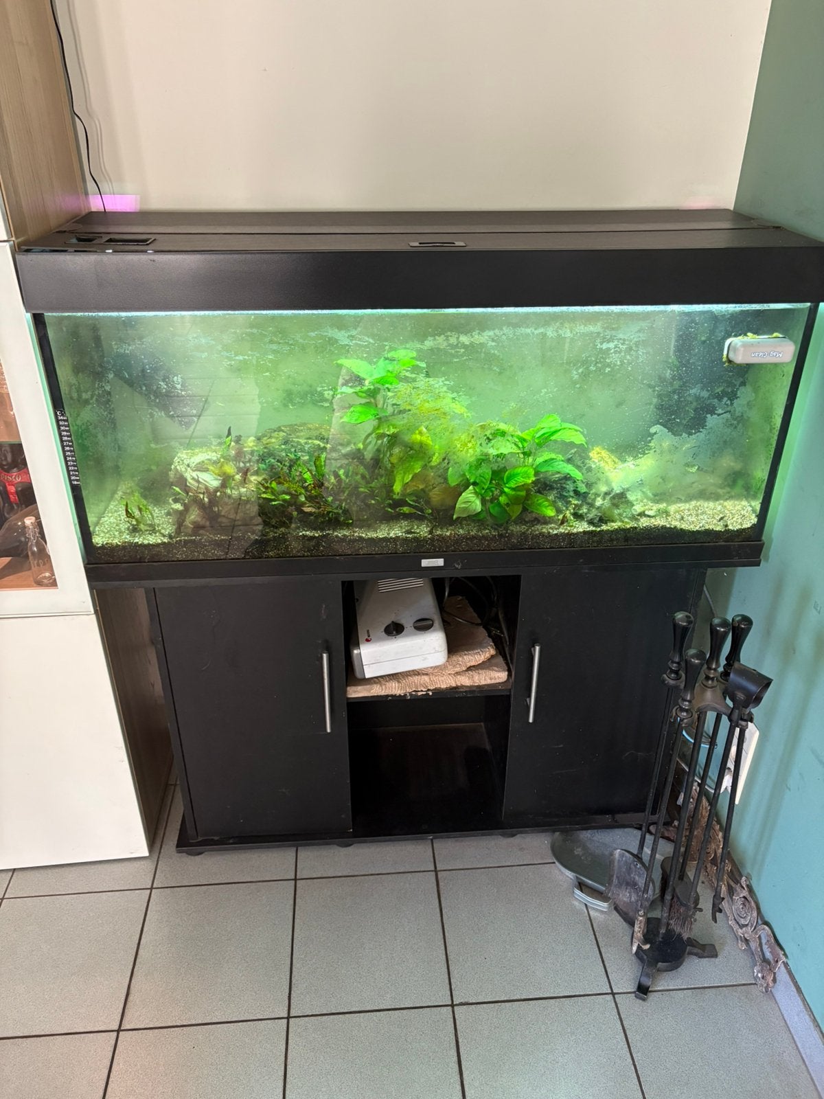 Aquarium juwel, Enlèvement, Comme neuf, Juwel
