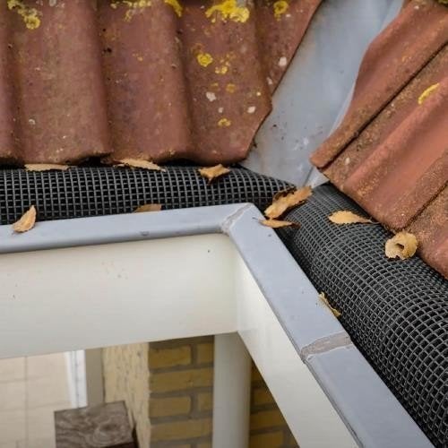 Gootdrain Bladstop - Maten M, L, XL en XXL - Bladvanger - BE, Ophalen of Verzenden, Nieuw