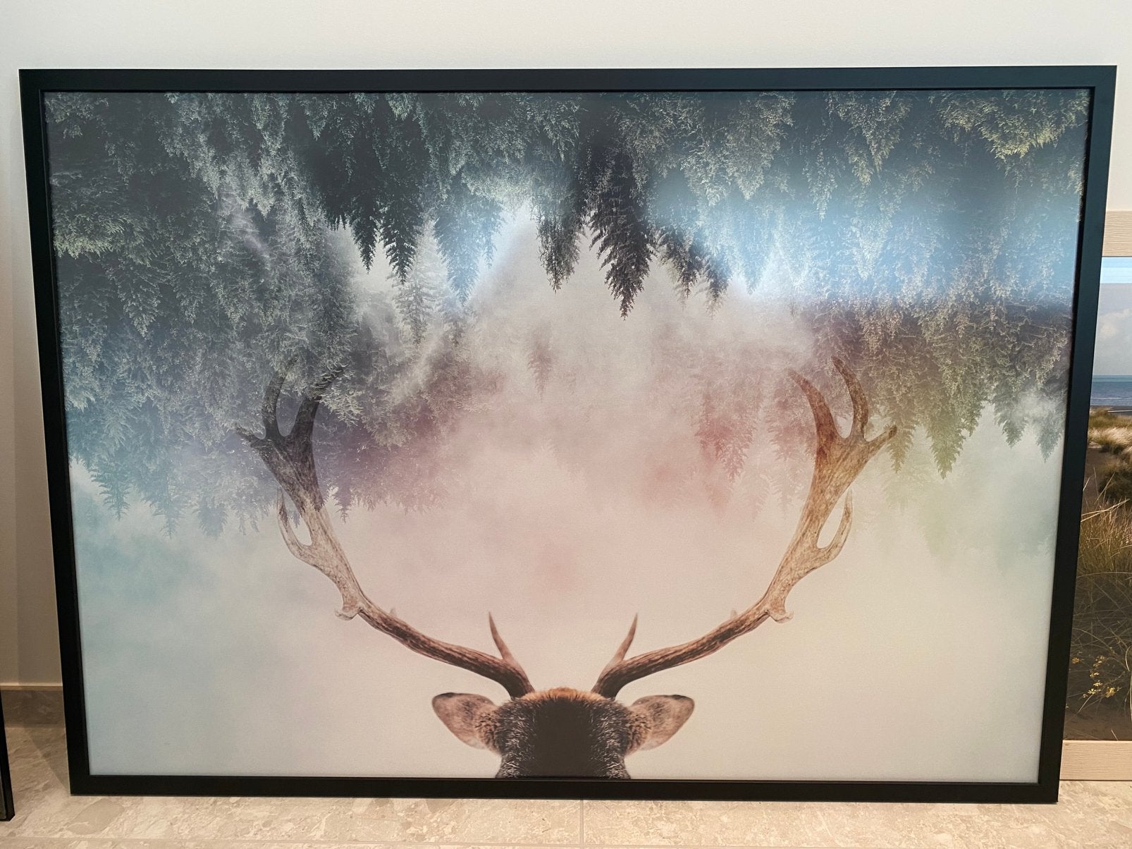 Posters - ingelijst - 70x100, Ophalen