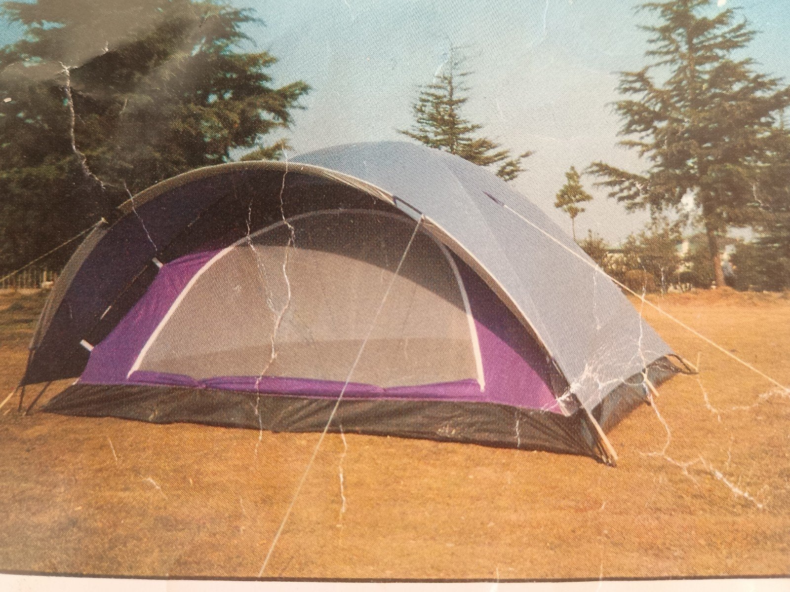 Koepeltent 3 personen, Caravans en Kamperen, Ophalen, Zo goed als nieuw, Tot en met 3