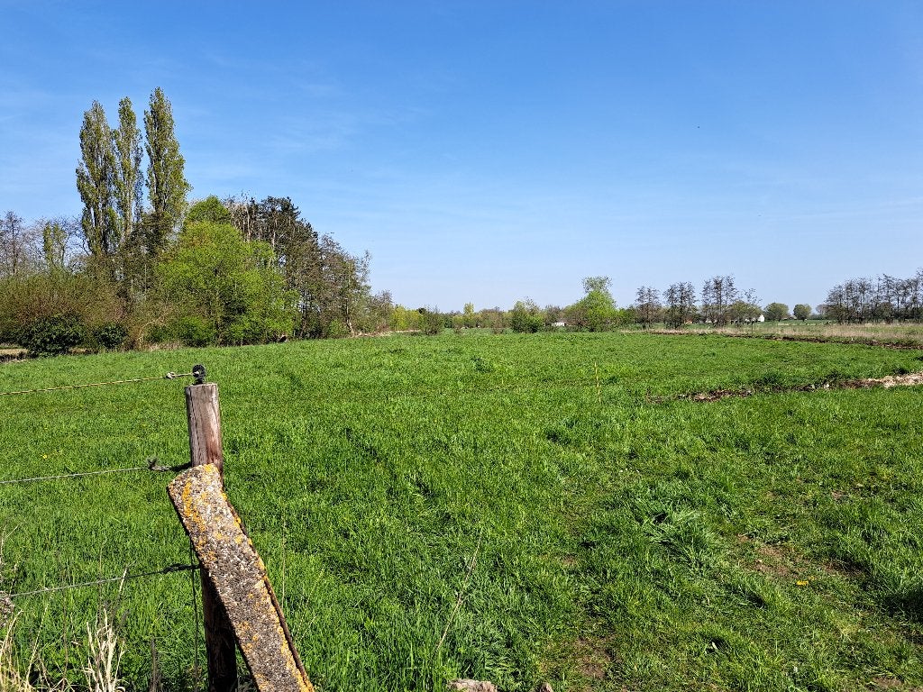 Landbouwgrond, Bornem