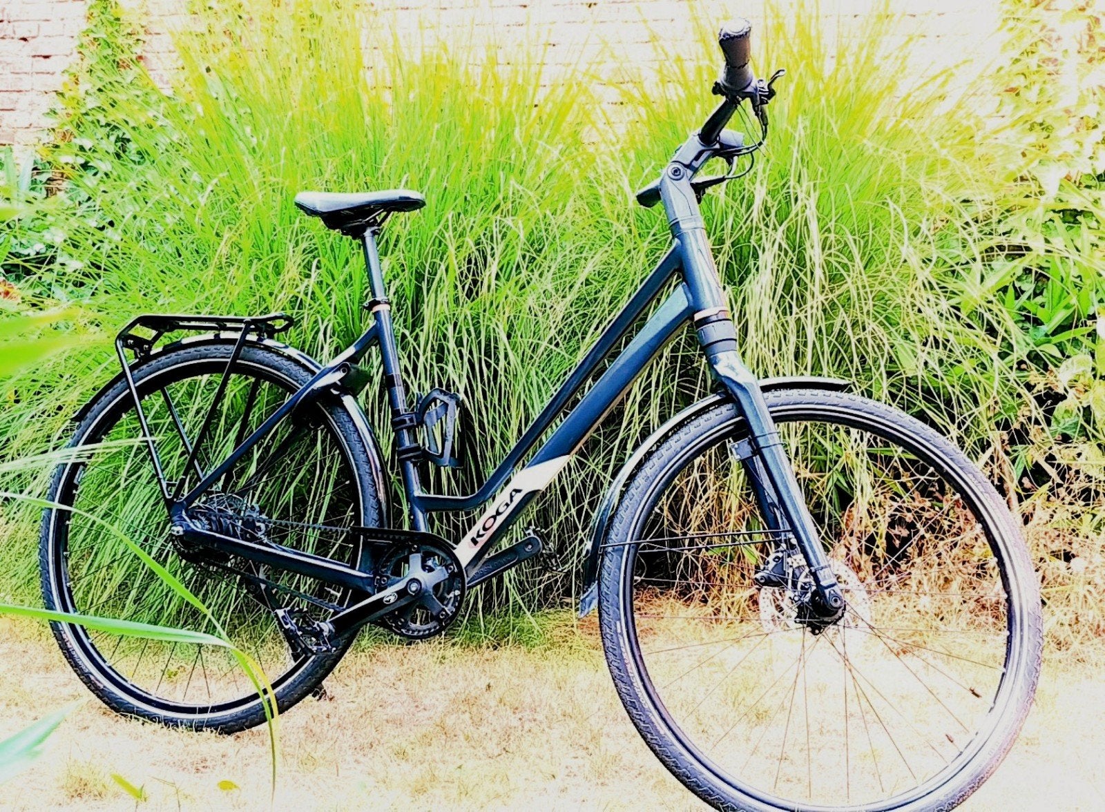 KOGA  F3 4.0 (Gatesriem - maat 53), Ophalen, 53 tot 56 cm, Nieuw, Koga Miyata