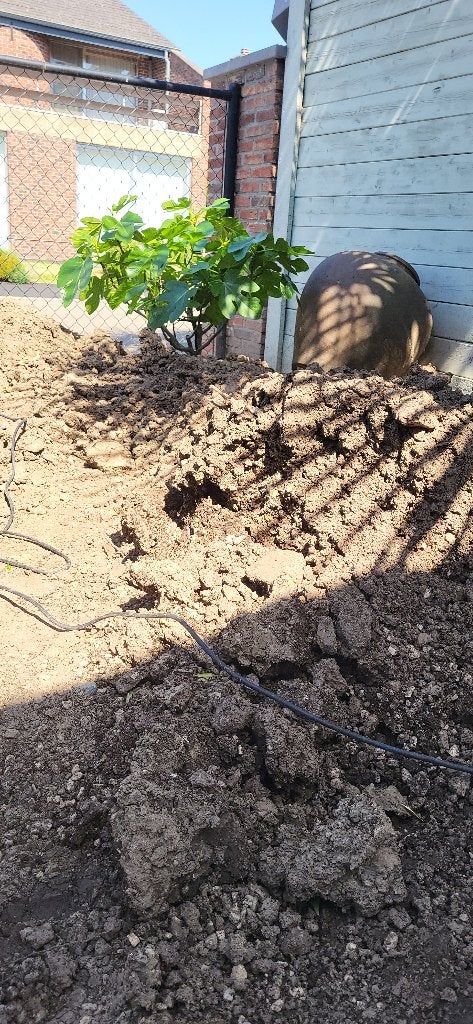 Grond bosgrond, Tuin en Terras, Aarde en Mest, Ophalen, Tuinaarde