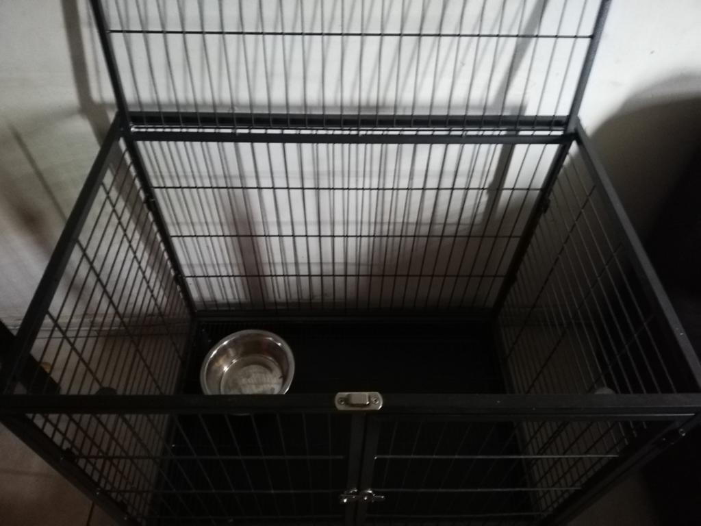 Cage chien, Animaux & Accessoires, Enlèvement