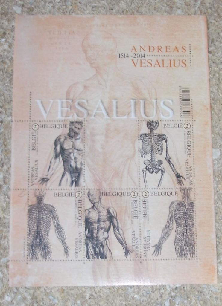 1 blok bl215 andreas vesalius, Postzegels en Munten, Frankeerzegel, Ophalen of Verzenden, Zonder stempel, Postfris