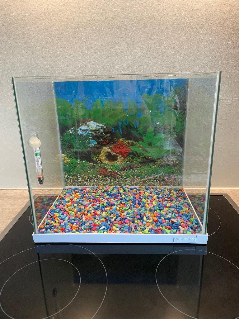 Aquarium, Enlèvement, Chauffage, Comme neuf, Aquarium vide