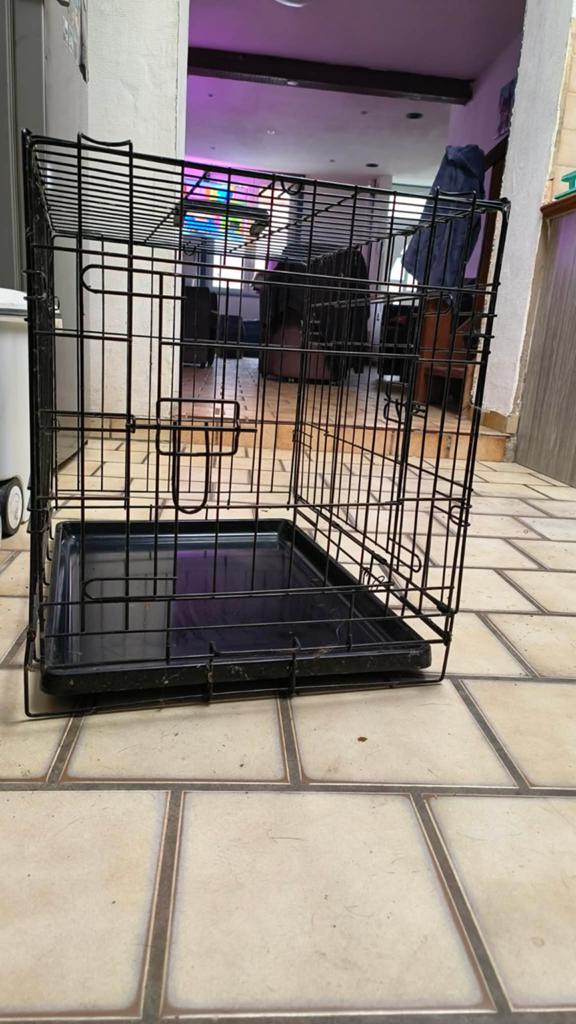 Cage de transport, Enlèvement
