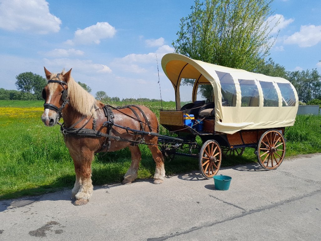 wagon couvert, Animaux & Accessoires, Comme neuf, Wagonette, Cheval