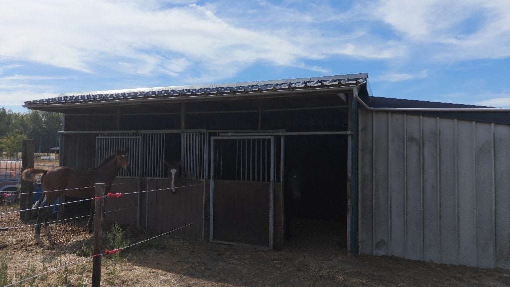 Schuilstalling te koop, Dieren en Toebehoren, Stalling, 2 of 3 paarden of pony's