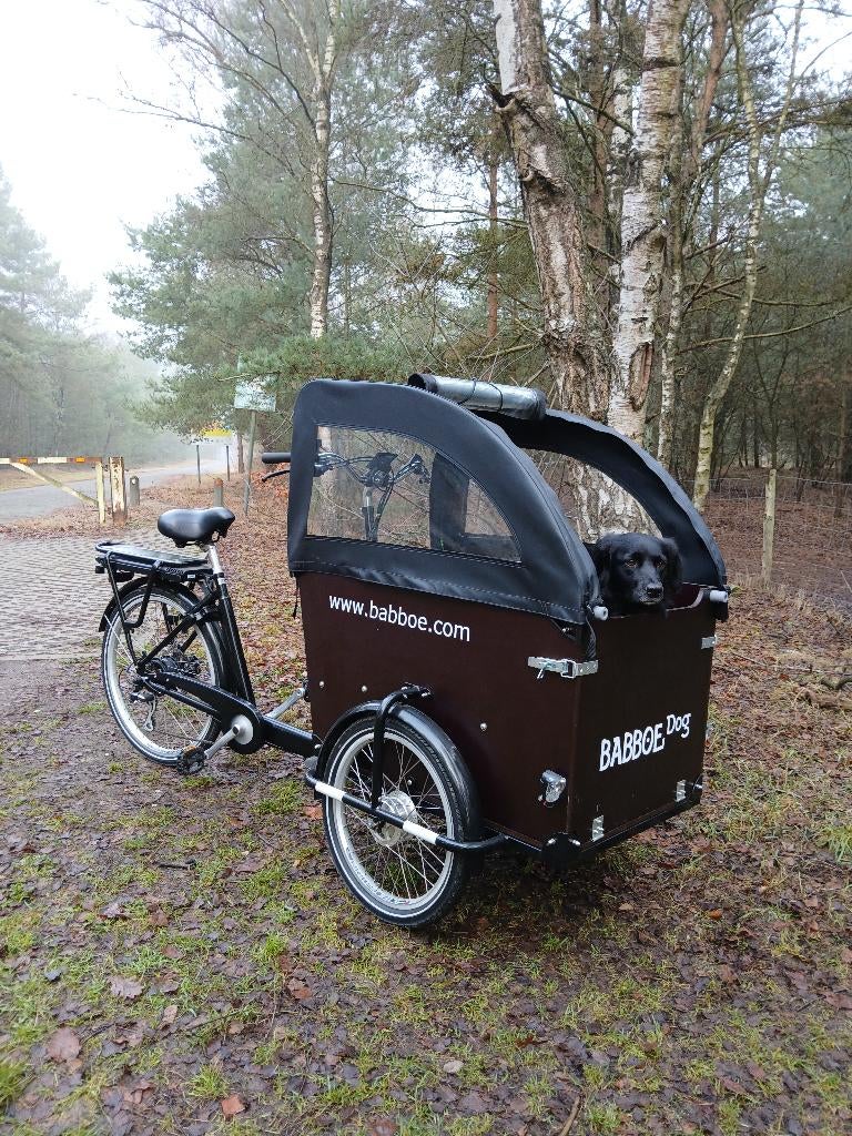 Bakfiets elektrische Babboe dog-e, Fietsen en Brommers, Huif, Zo goed als nieuw, 2 kinderen, Ophalen