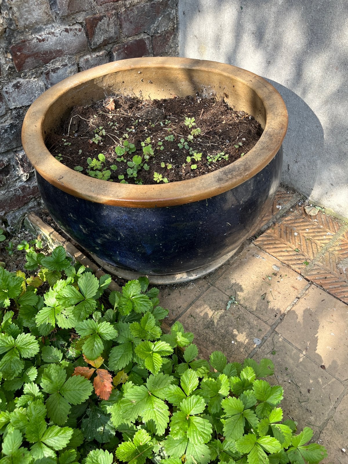 Grote geglazuurde bloempot met schotel, Tuin en Terras, Ophalen, Steen, Gebruikt, Minder dan 60 cm