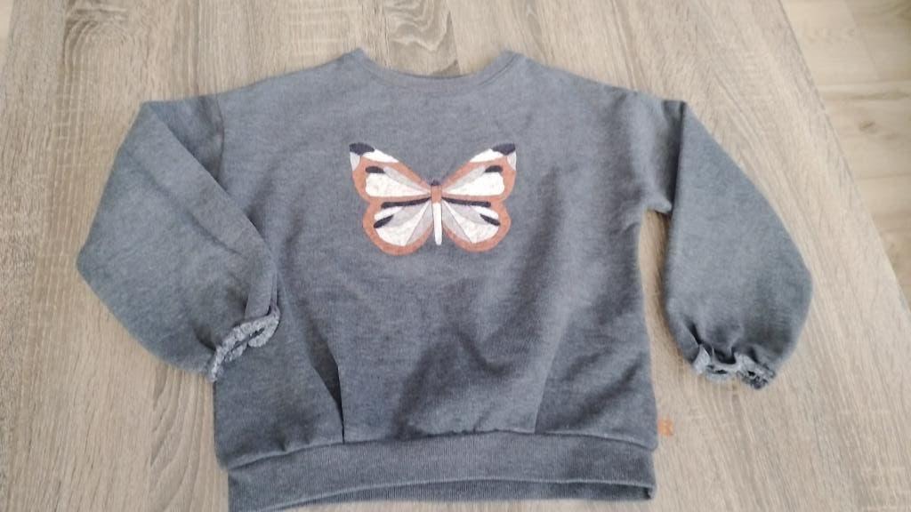 trui 116, Enfants & Bébés, Vêtements enfant | Taille 116, Okaïdi, Pull ou Veste, Enlèvement, Utilisé