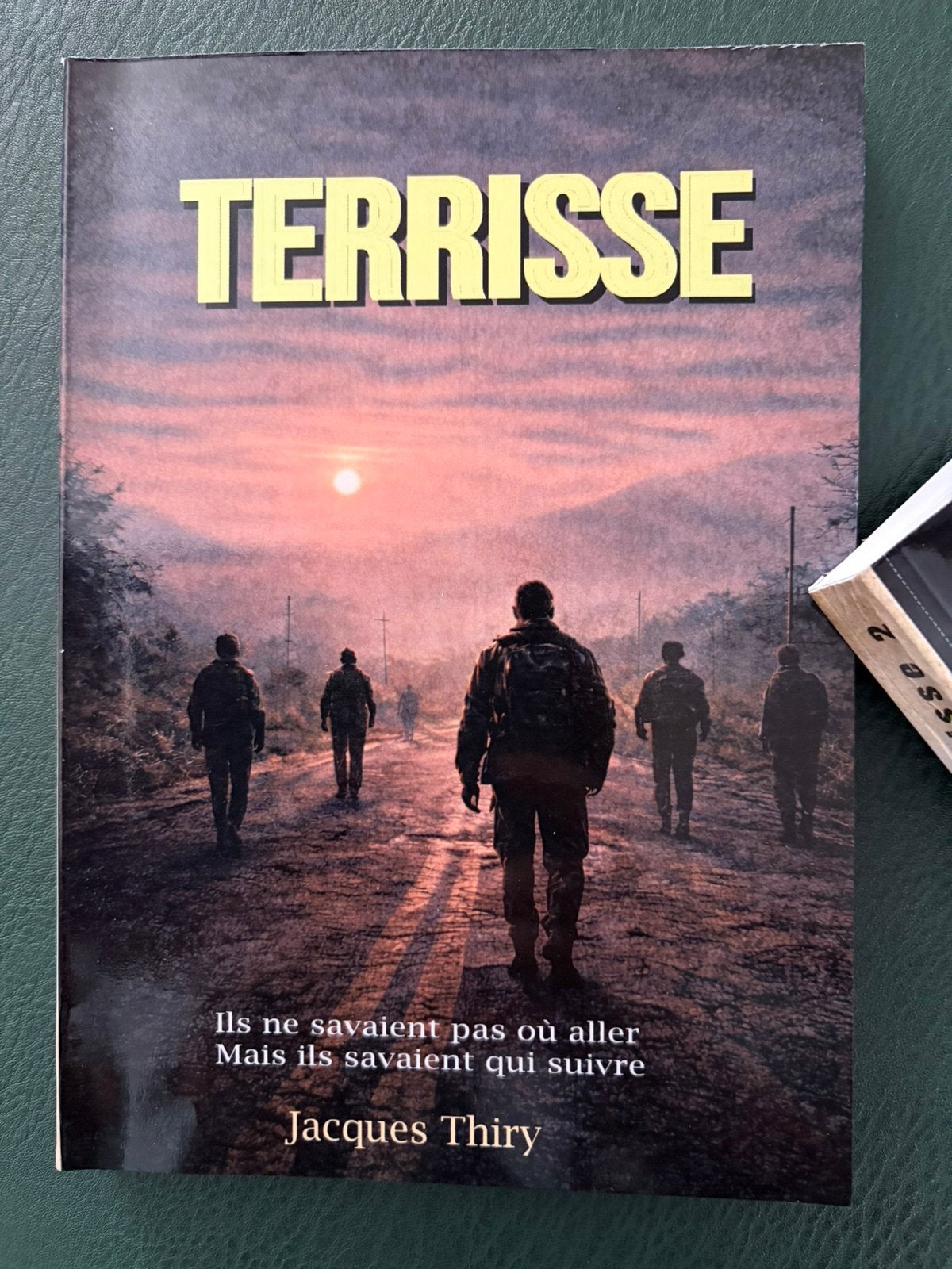 TERRISSE – Jacques Thiry – Roman d’anticipation, Livres, Enlèvement ou Envoi, Neuf