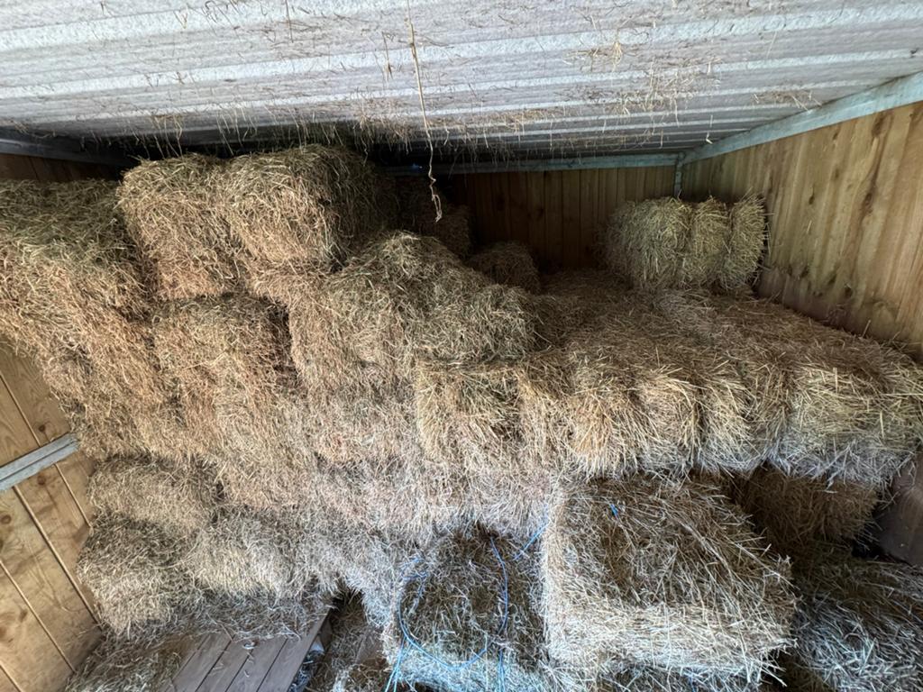 Te koop Hooi kleine pakjes, Dieren en Toebehoren, Ophalen