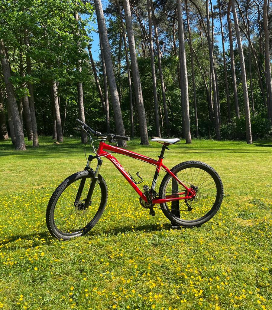 Vélo de montagne - Specialized, Enlèvement, Utilisé, Hommes, Autres marques