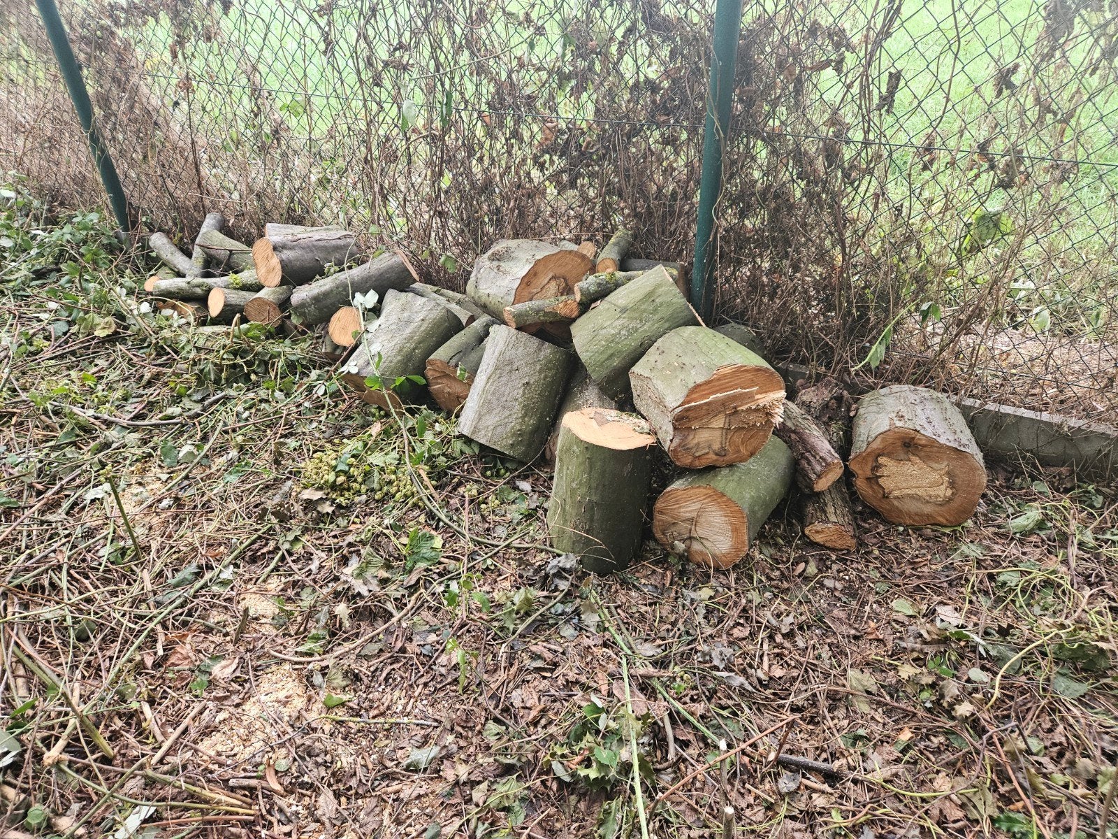 hout, Ophalen of Verzenden