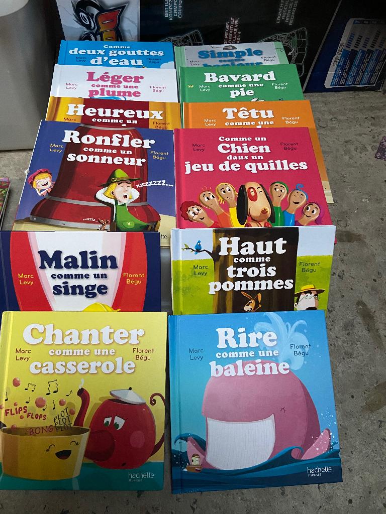 Livres jeunesse Hachette et Nathan, Livres, Enlèvement ou Envoi, Comme neuf, Fiction