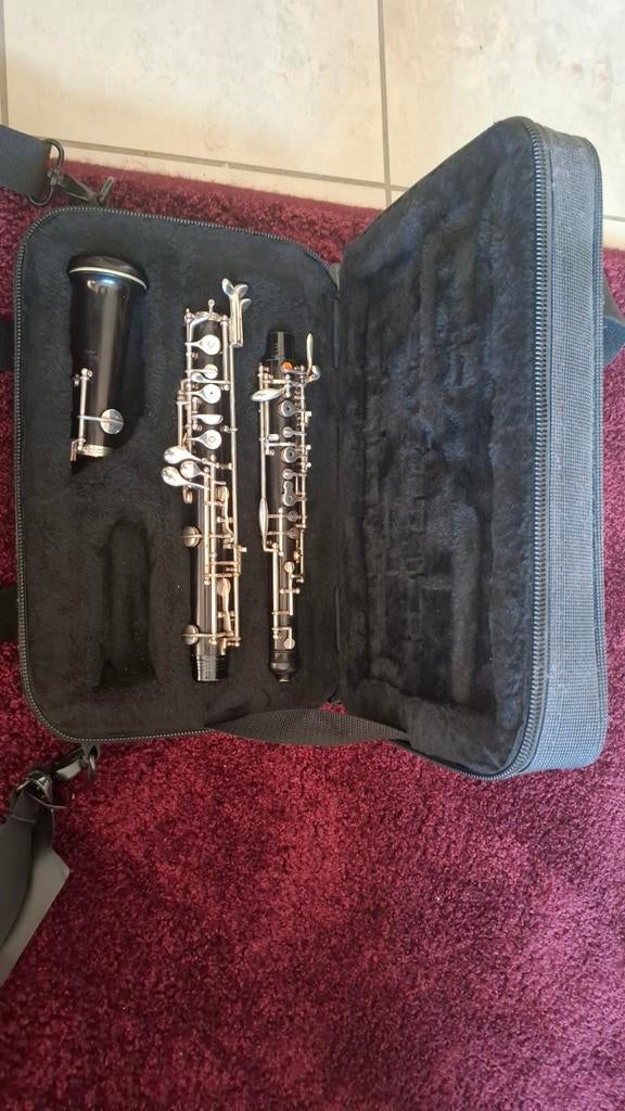 HOBO Rigoutat RIEC, Muziek en Instrumenten, Ophalen