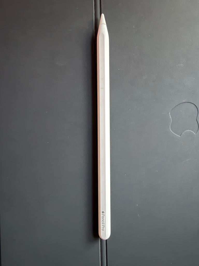 Apple pen pro, Informatique & Logiciels, Apple iPad Tablettes, Enlèvement, Neuf, Autres modèles
