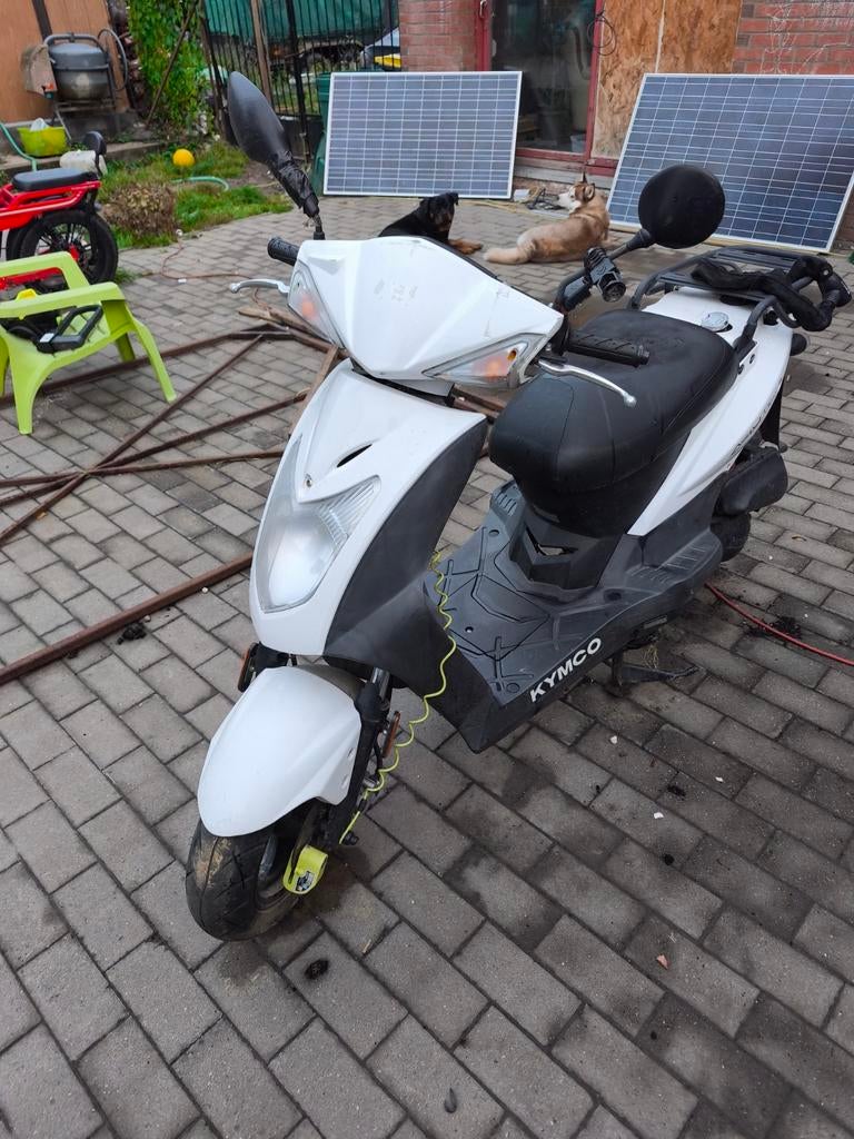Kymco Agility delivery 50cc 4 temps classe B, Vélos & Vélomoteurs, Scooters | Kymco, Enlèvement, Agility