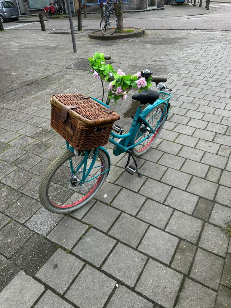 Meisjes fiets transport 24 inch, Fietsen en Brommers, Ophalen, Zo goed als nieuw