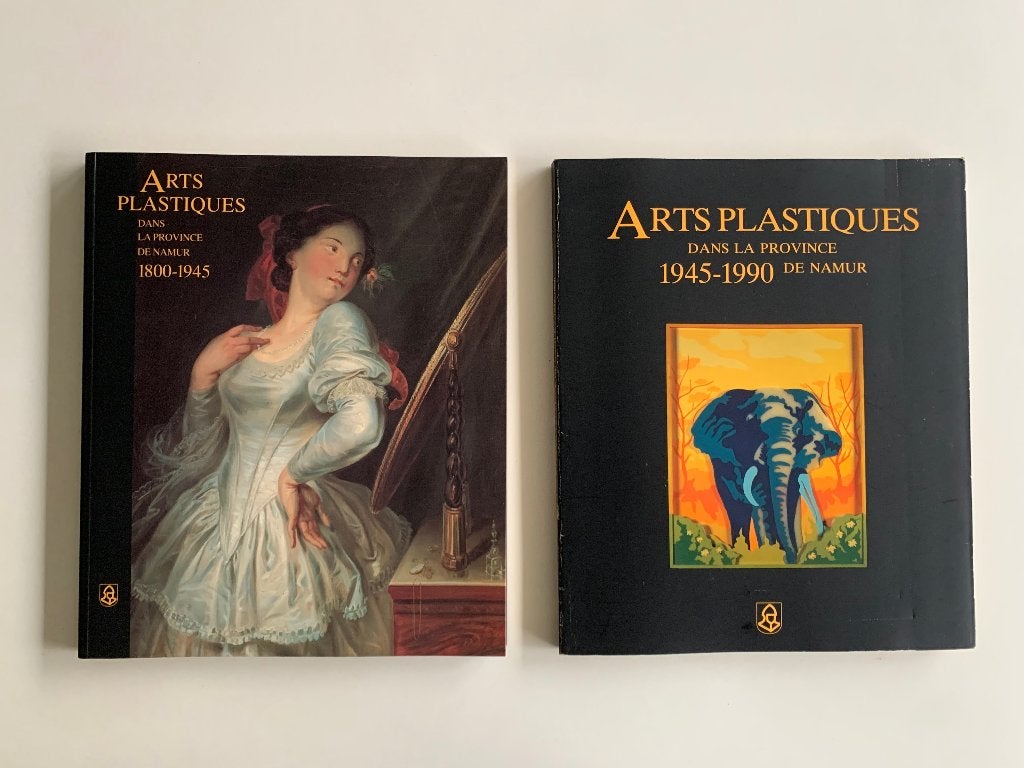 Arts plastiques dans la province de Namur, Boeken, Kunst en Cultuur | Beeldend, Ophalen of Verzenden, Gelezen, Schilder- en Tekenkunst